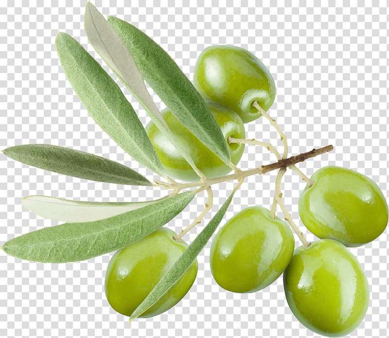 green grapes, Green Olives On Branch transparent background PNG clipart