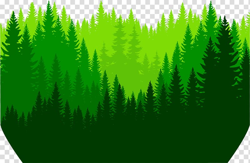 dense forest background clipart