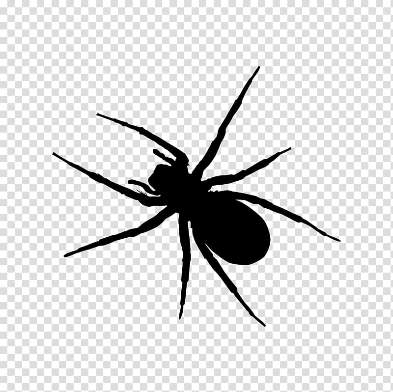 Spider-Man , spider transparent background PNG clipart