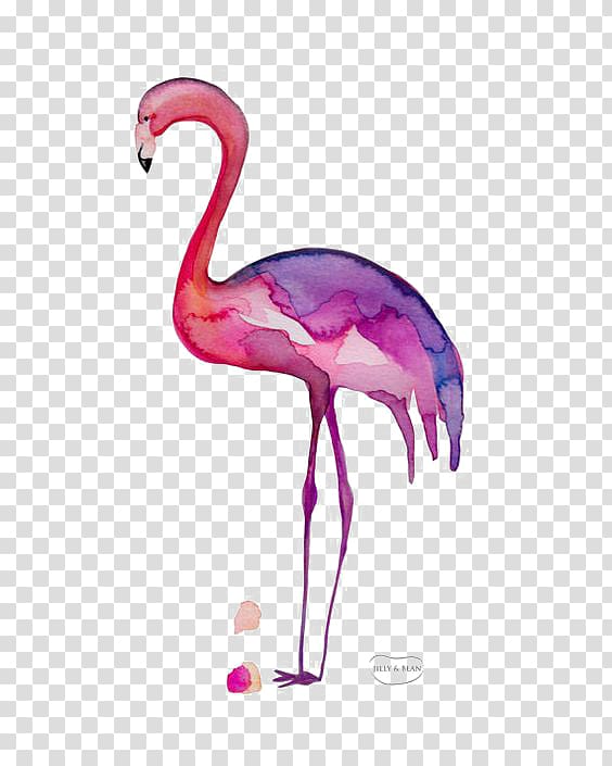 Greater flamingo Drawing, Color flamingo transparent background PNG clipart