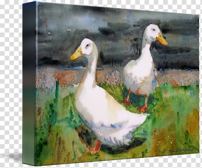 Duck Goose Watercolor painting American Pekin, watercolour animals transparent background PNG clipart