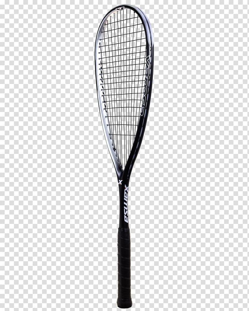 Racket Squash Head Tennis Babolat, acorn squash transparent background PNG clipart