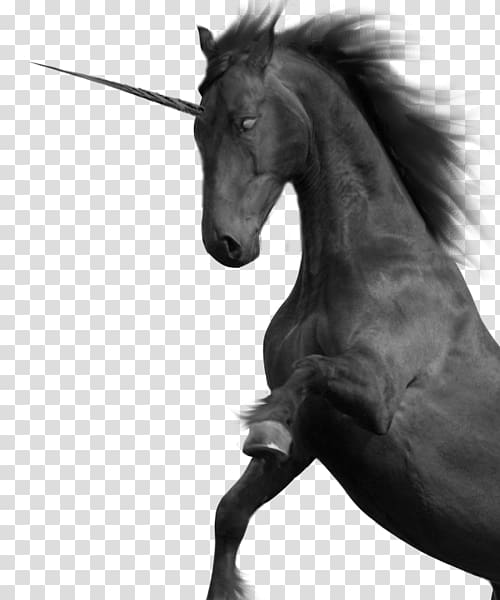 Mustang Unicorn Black and white, unicorns transparent background PNG clipart
