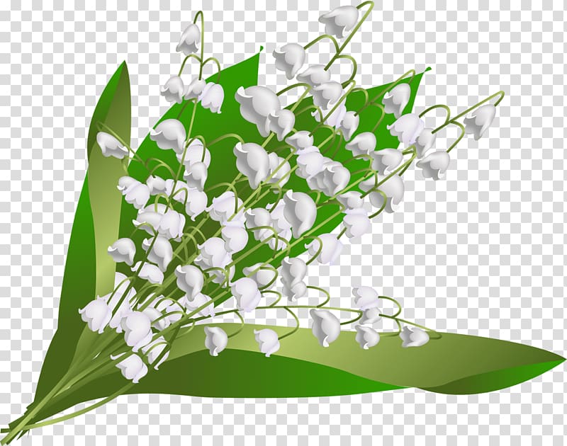 Flower May 1 Floral design Floristry Hauts-de-Seine, lily of the valley transparent background PNG clipart