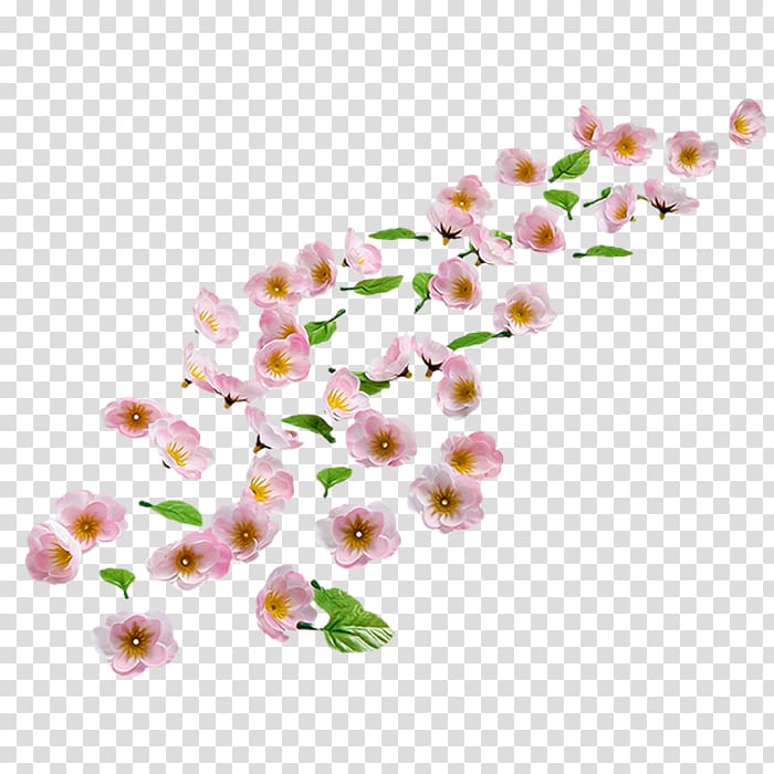 Cherry blossom Sweet Cherry Almond Flower, cherry blossom transparent background PNG clipart