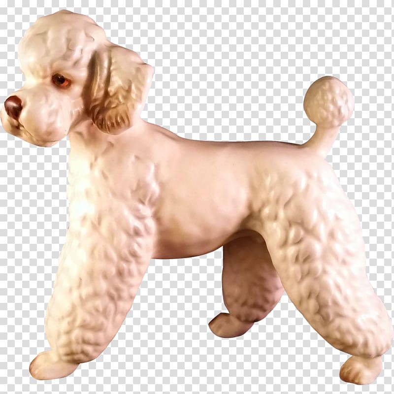 Standard Poodle Miniature Poodle Toy Poodle Limoges Porcelain, puppy transparent background PNG clipart