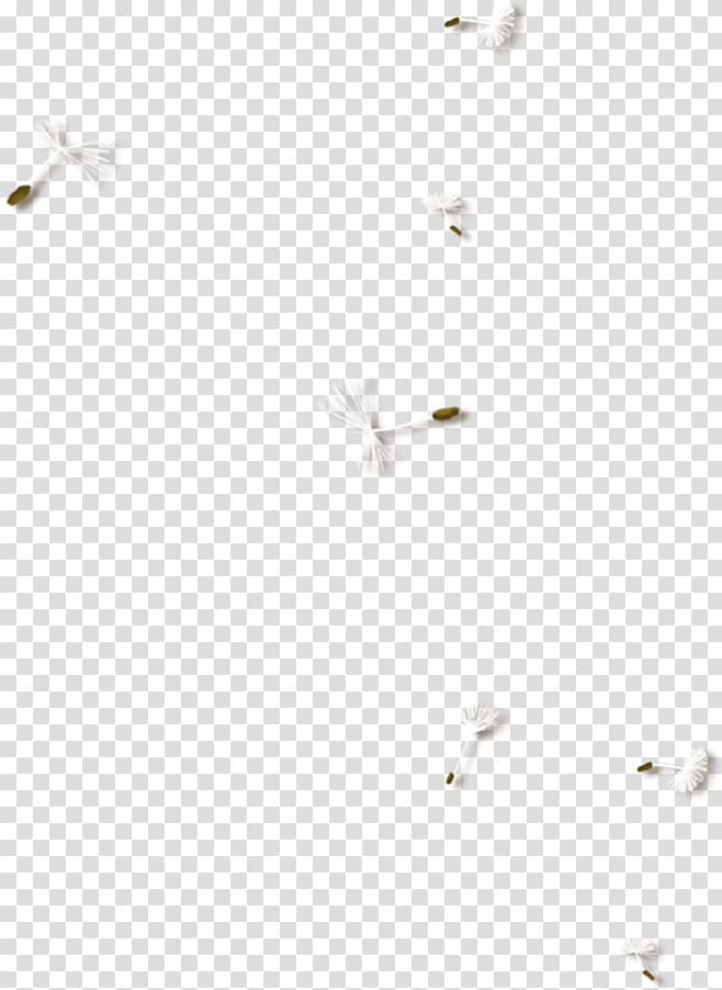 Dandelion Pissenlit, Floating dandelion transparent background PNG clipart