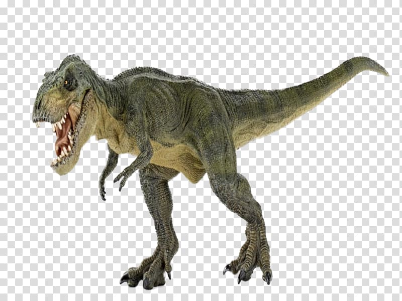 Giganotosaurus Tyrannosaurus rex Argentinosaurus Brachiosaurus Spinosaurus, Walking dinosaur transparent background PNG clipart
