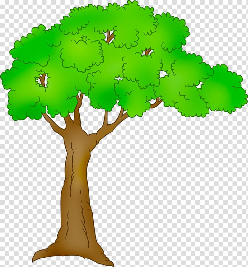 green leafed tree illustration, Tree Plant , cartoon tree transparent background PNG clipart