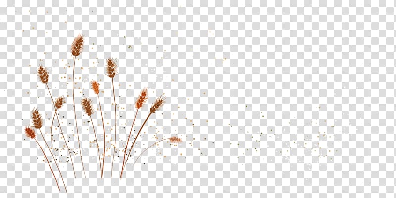 Desktop Yellow, Hand painted yellow wheat grain wandering transparent background PNG clipart