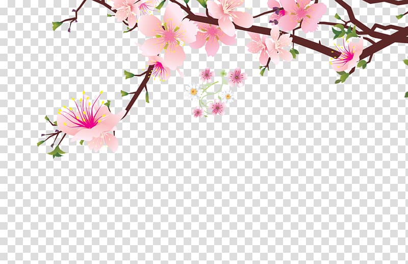 Blooming Pink Peach Blossom Branches 