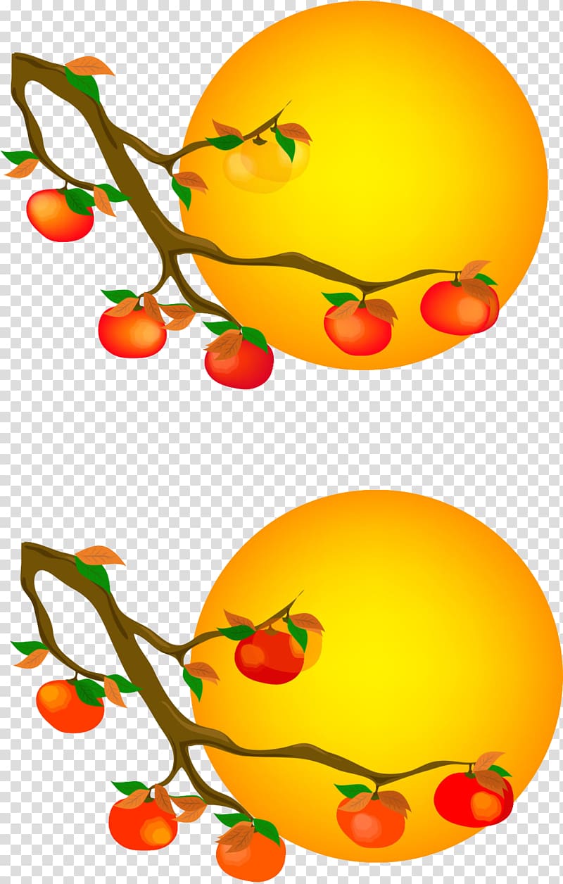 Persimmon Circle, Persimmon Poster transparent background PNG clipart