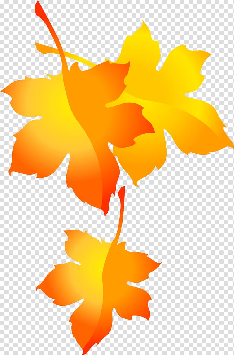 Maple leaf , Hand-painted maple leaf pattern transparent background PNG clipart