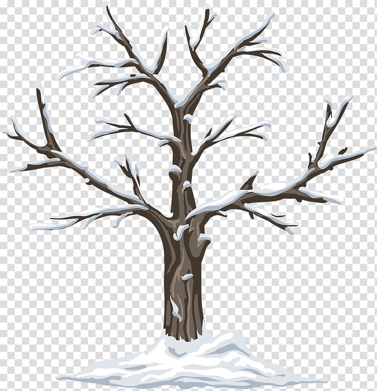 Season Kindergarten Garden , Winter dead trees transparent background PNG clipart