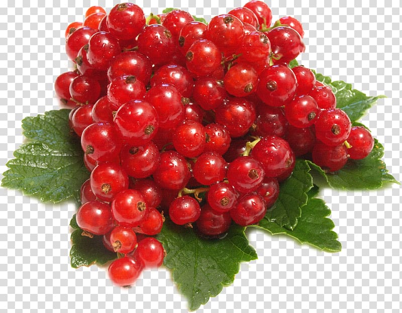 Redcurrant Red Wine Berry Fruit, others transparent background PNG clipart