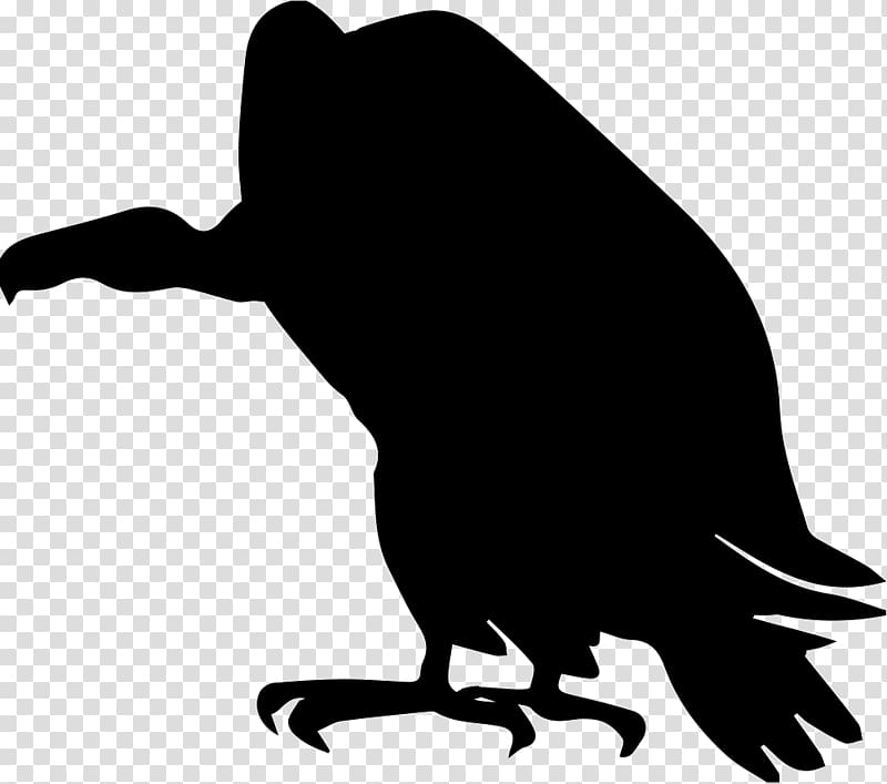 Turkey vulture , Silhouette transparent background PNG clipart