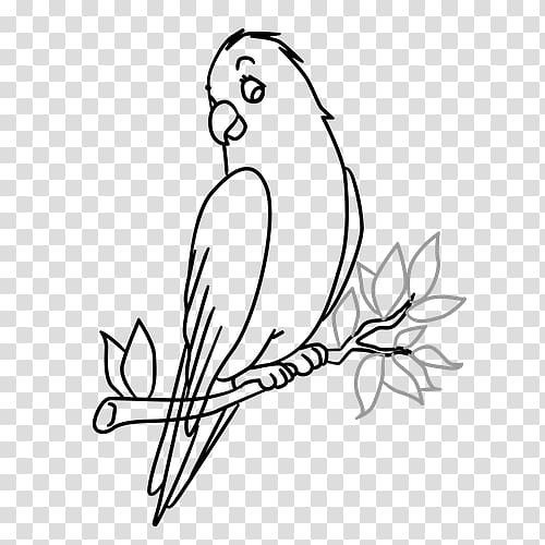 Bird Drawing Tree Art Sketch, color paperrplanes transparent background PNG clipart