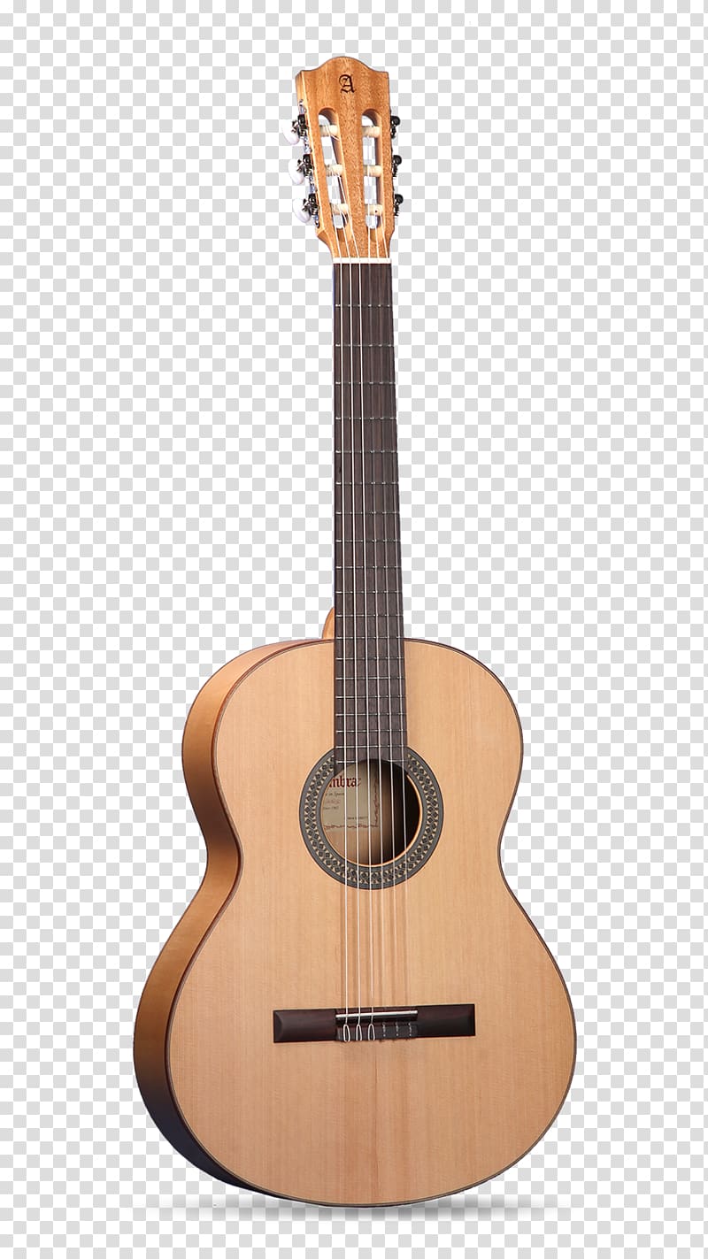 C. F. Martin & Company Acoustic-electric guitar Classical guitar Acoustic guitar, guitar transparent background PNG clipart