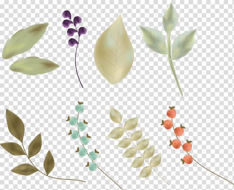 Petal Leaf Flower Illustration, hand-painted leaves transparent background PNG clipart