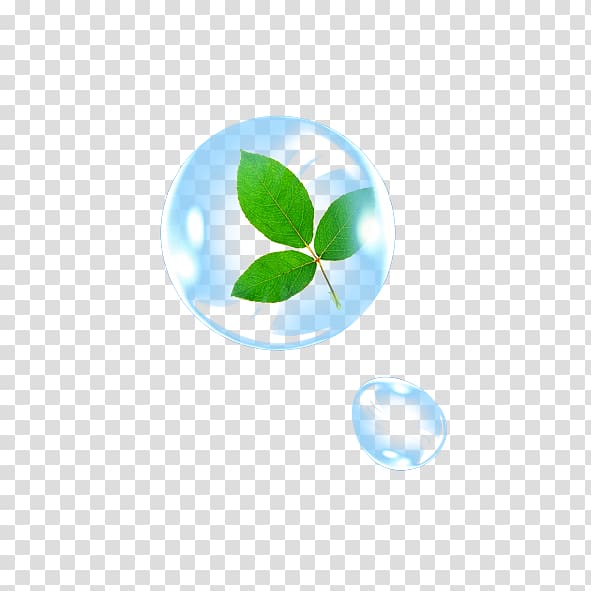 Leaf Drop Water , Drops transparent background PNG clipart