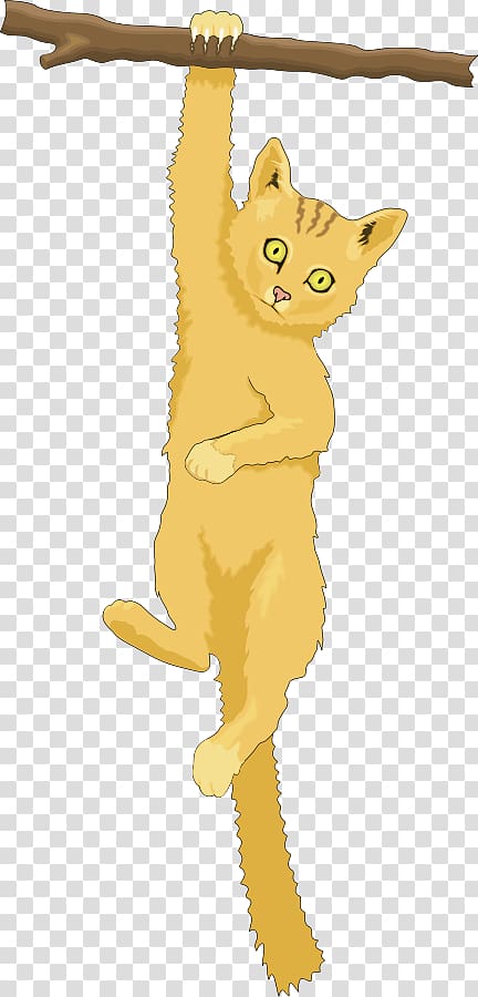 Cat tree , Cat transparent background PNG clipart