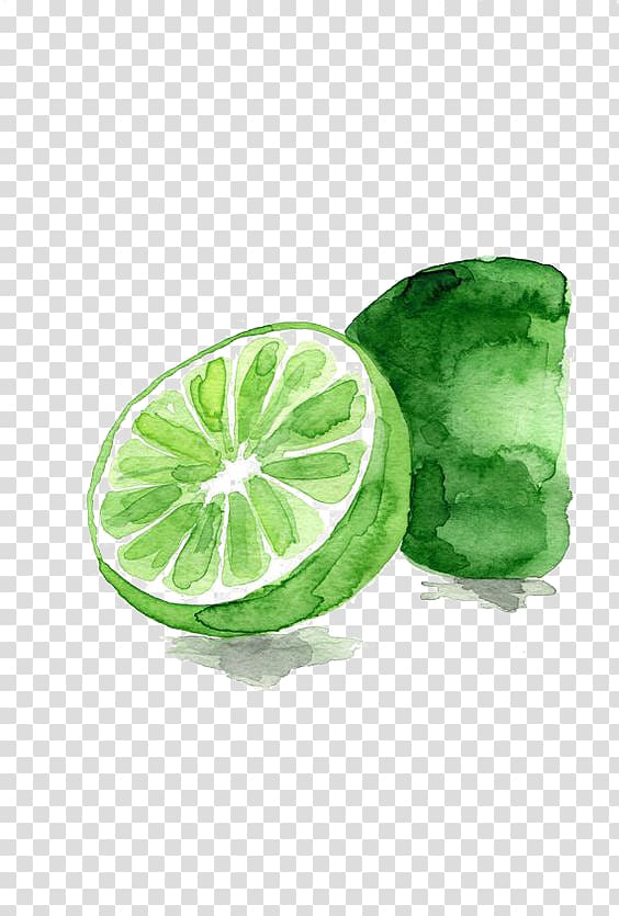 slice of green lime, Lemon-lime drink Watercolor painting Fruit, Lime transparent background PNG clipart