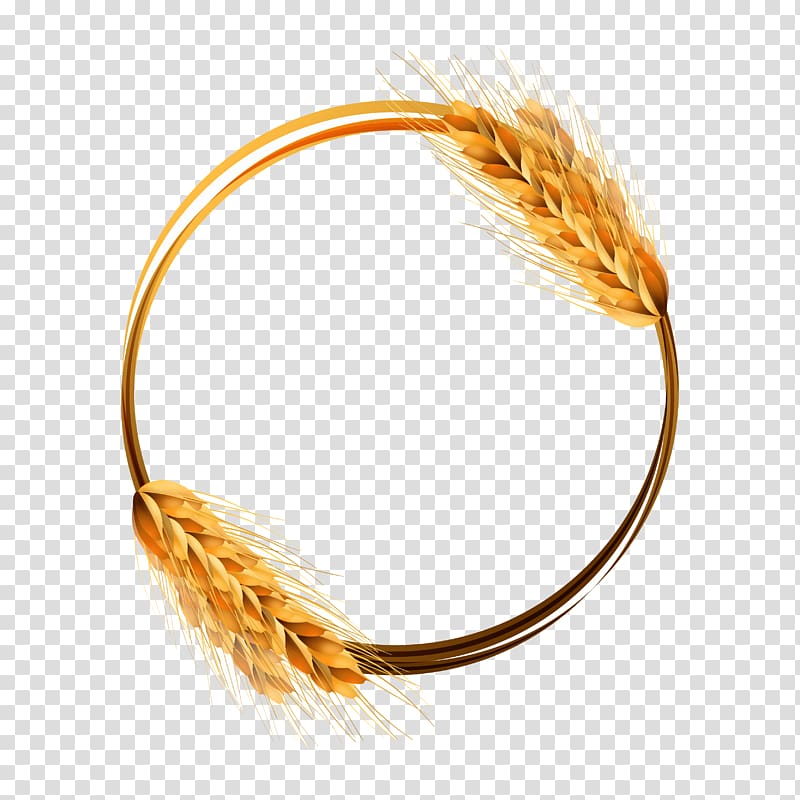 Wheat beer Common wheat Ear Crop, Golden wheat ring material transparent background PNG clipart