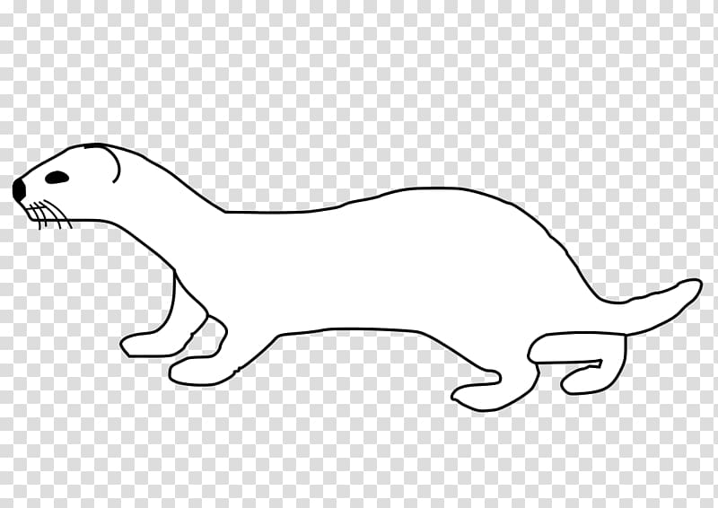 Whiskers Ferret Dog Drawing , mink transparent background PNG clipart