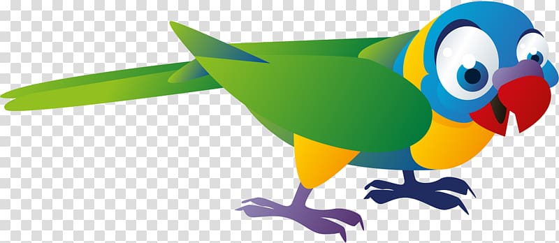 Cat Bird Budgerigar Pet Monk parakeet, Cat transparent background PNG clipart