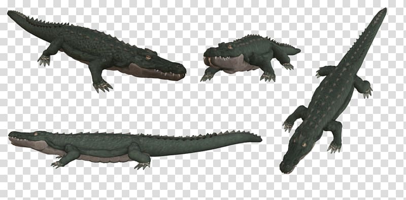 Tyrannosaurus Crocodiles Alligator Saltwater crocodile, crocodile transparent background PNG clipart
