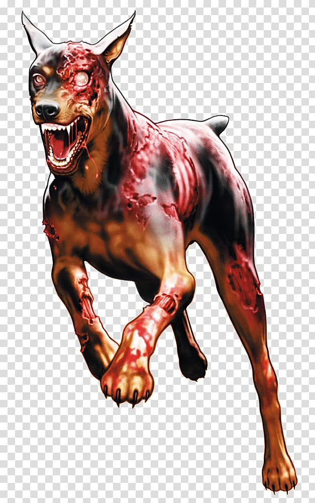 Resident Evil: The Umbrella Chronicles Resident Evil 4 Dobermann Resident Evil 2, Doberman transparent background PNG clipart