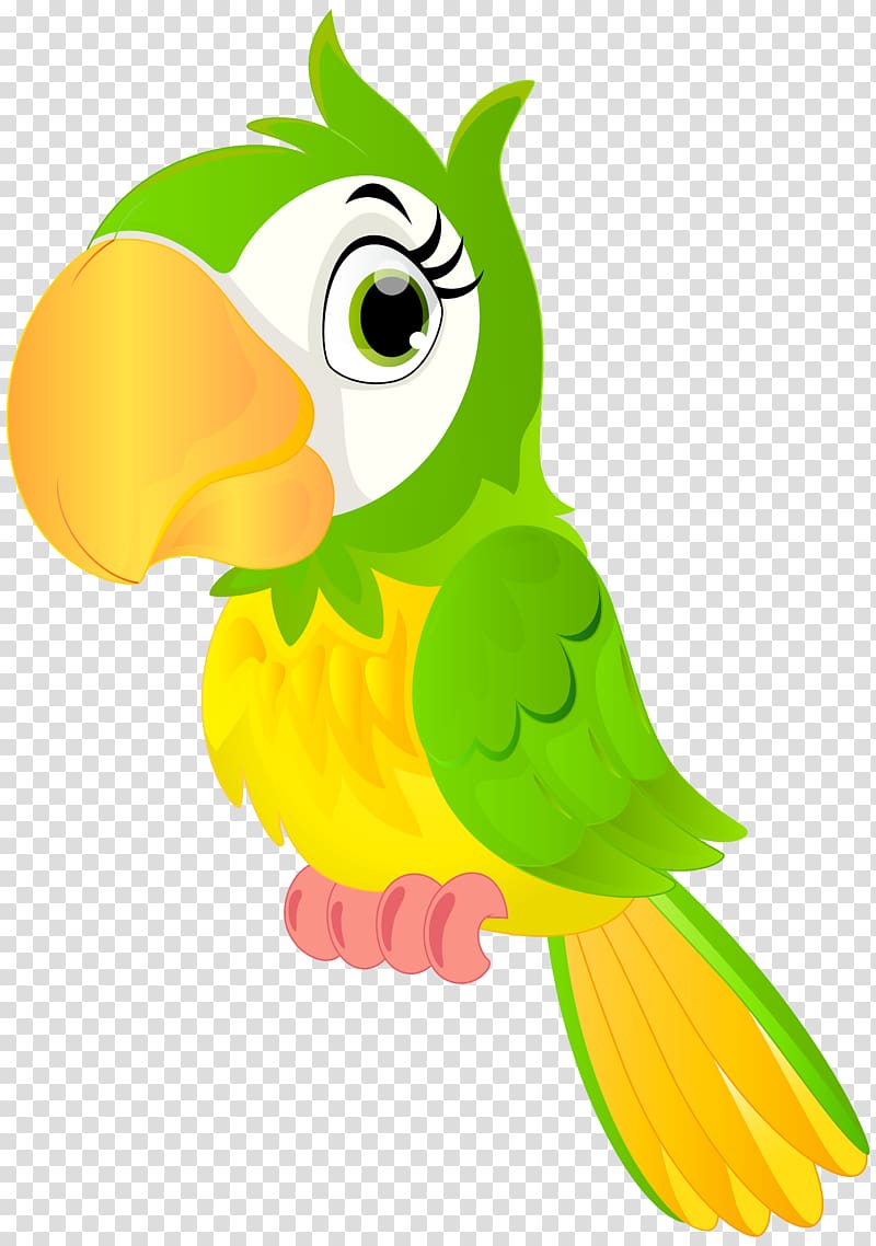 green and yellow parrot art, Parrot Bird Animation Cartoon , parrot transparent background PNG clipart