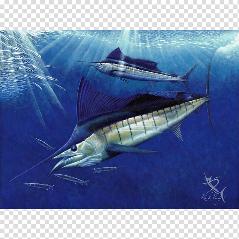 Swordfish Sailfish Atlantic blue marlin White marlin Fin, others transparent background PNG clipart
