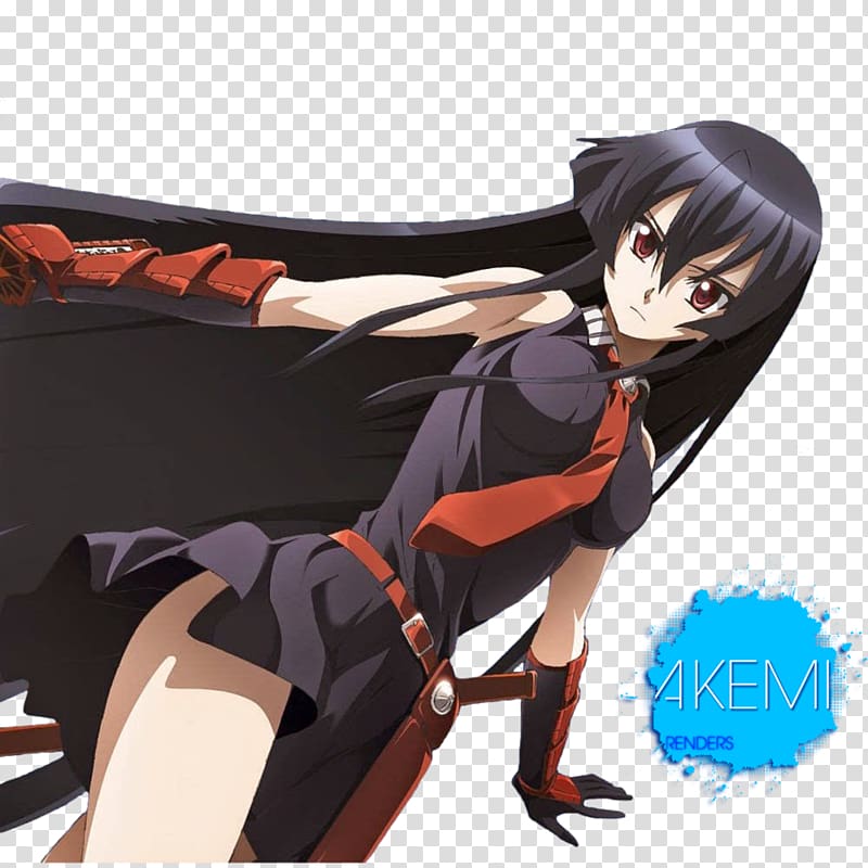 Akame ga Kill! Skyreach Anime Manga Internet radio, Anime transparent background PNG clipart