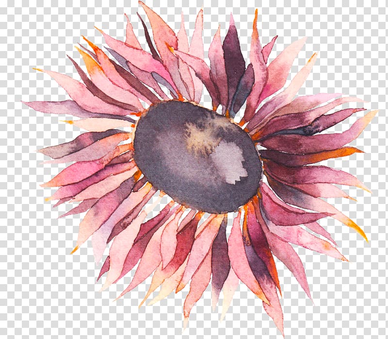 Flower Watercolor painting , hand painted transparent background PNG clipart