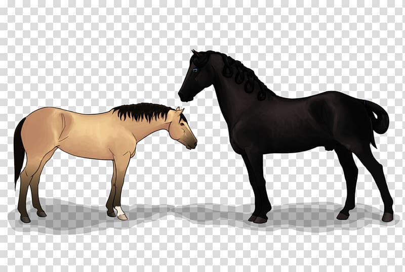 Horse Transduction X-ray generator Weatherbeeta ComFiTec Ultra Cozi Detach A Neck Medium, show shots fired transparent background PNG clipart