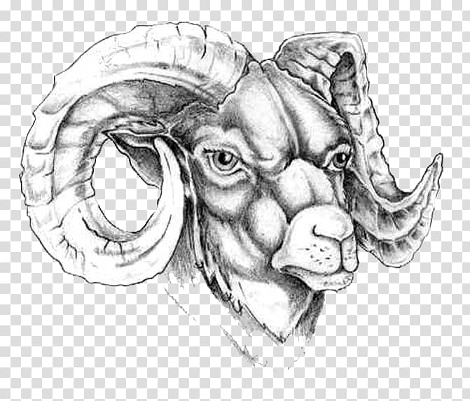 Goat Old school (tattoo) Aries Tattoo ink, goat transparent background PNG clipart