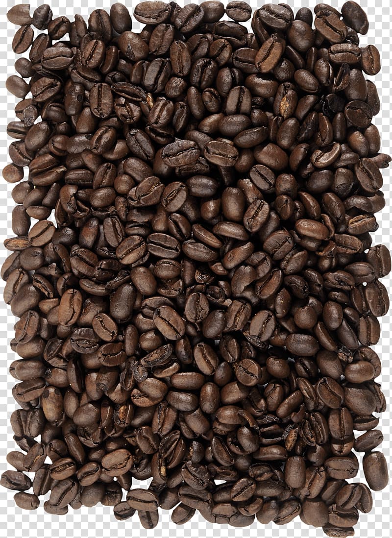 Coffee bean Cappuccino Cafe, Quality coffee beans transparent background PNG clipart