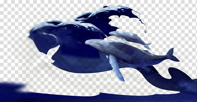 , Watercolor whale transparent background PNG clipart