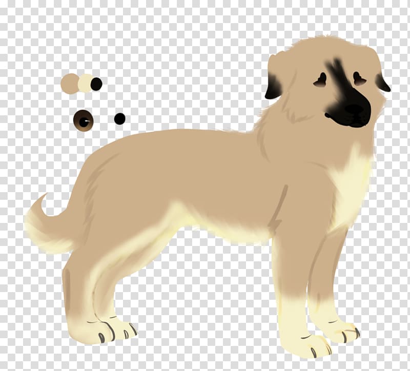 Dog breed Puppy Sporting Group Cat, Adopt A Dog Poster transparent background PNG clipart