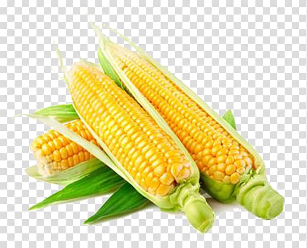 Popcorn Maize Seed Corn kernel Field corn, Fresh corn transparent background PNG clipart