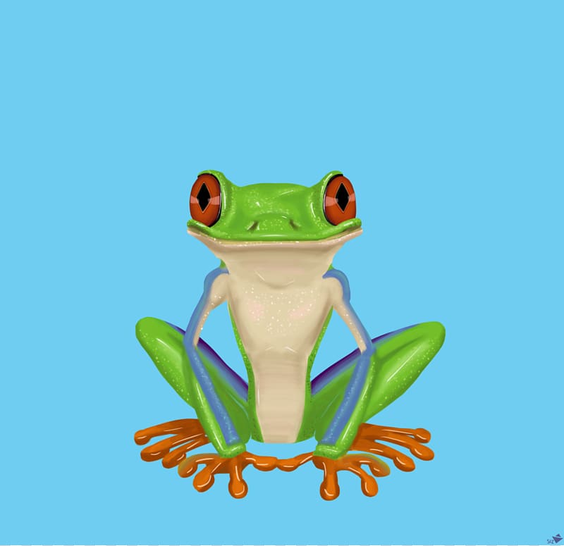 Red-eyed tree frog The Tree Frog Drawing, frog transparent background PNG clipart