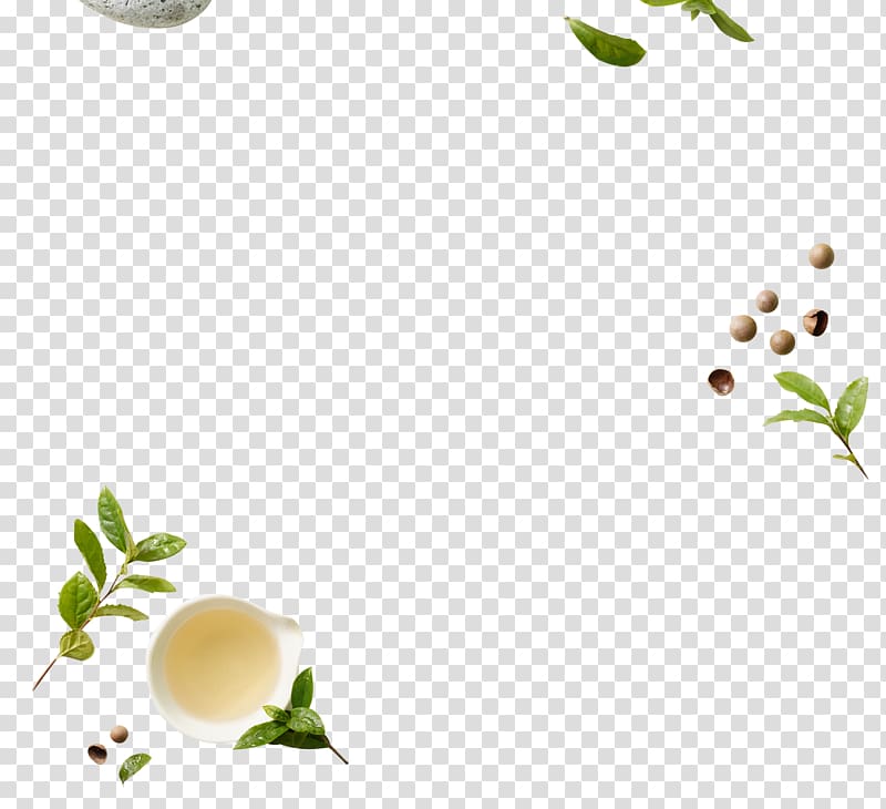 Green tea, Fresh green tea plant decoration Free transparent background PNG clipart