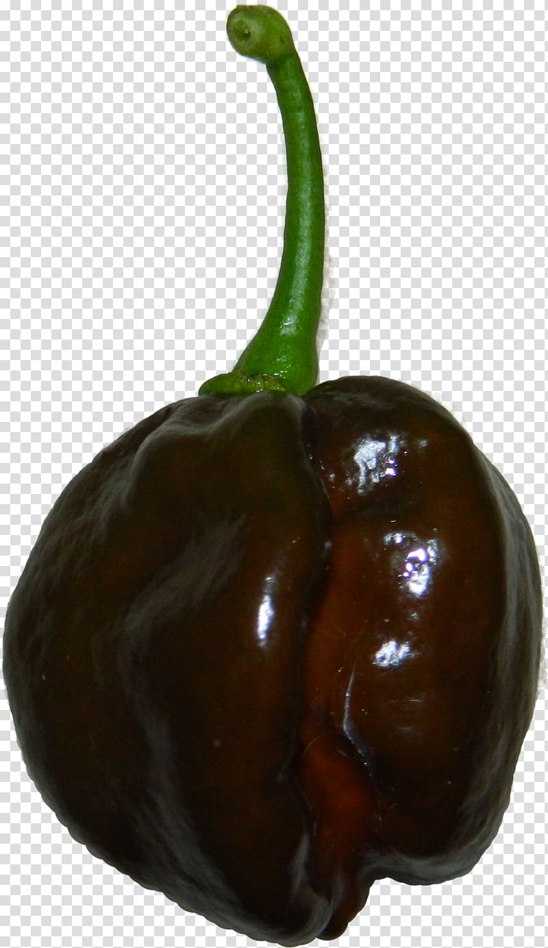 Habanero Bell pepper Serrano pepper Cayenne pepper Chili pepper, chocolate transparent background PNG clipart