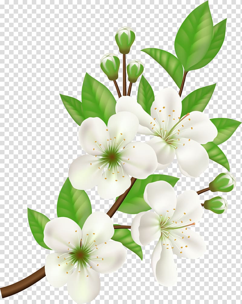 white petaled flowers , Computer Icons Flower, hand painted white flowers transparent background PNG clipart