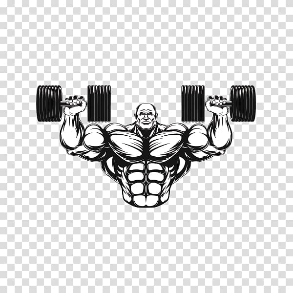 Graphy Logo, Fitness Centre, Wall Decal, Physical Fitness