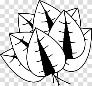 Leaf White Line art , Leaf transparent background PNG clipart thumbnail