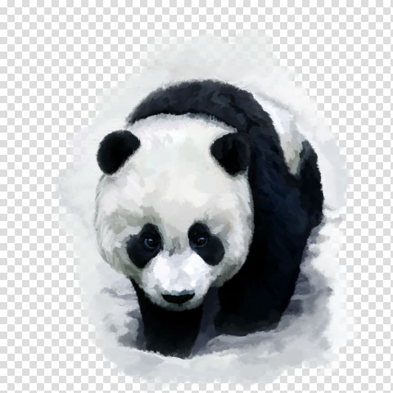 Giant panda Bear Red panda Desktop Baby Pandas, bear transparent background PNG clipart