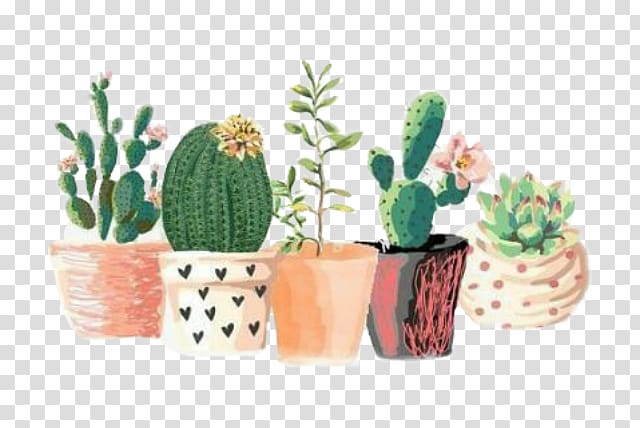 Five succulent plant illustrations, Cactaceae Art Succulent plant