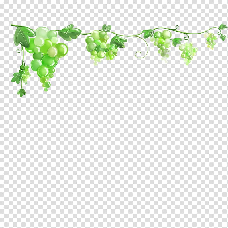 Common Grape Vine Grape leaves , grape transparent background PNG clipart